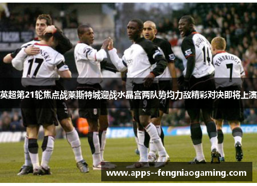 英超第21轮焦点战莱斯特城迎战水晶宫两队势均力敌精彩对决即将上演 英超第21轮焦点战莱斯特城迎战水晶宫两队势均力敌精彩对决即将上演