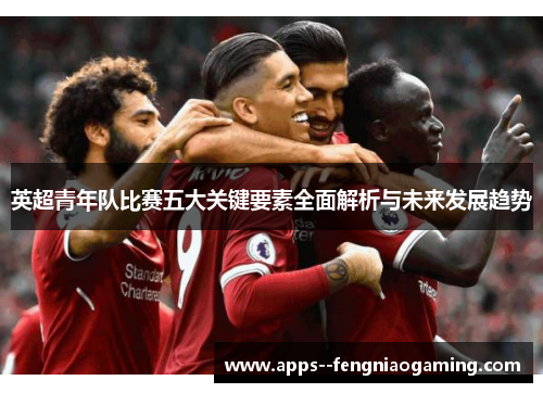 英超青年队比赛五大关键要素全面解析与未来发展趋势 英超青年队比赛五大关键要素全面解析与未来发展趋势