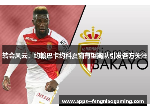 转会风云:约翰巴卡约科夏窗有望离队引发各方关注 转会风云:约翰巴卡约科夏窗有望离队引发各方关注