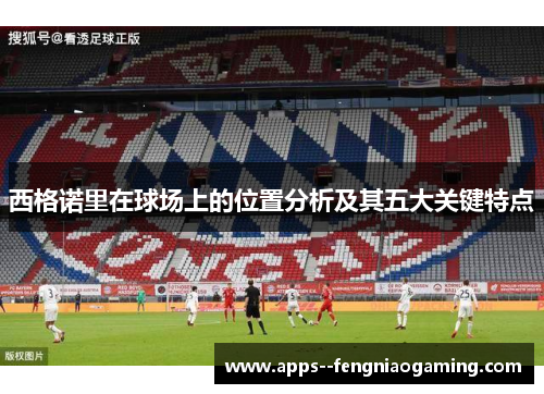 西格诺里在球场上的位置分析及其五大关键特点