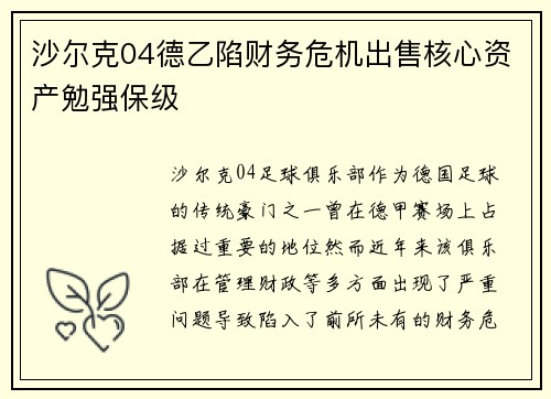 沙尔克04德乙陷财务危机出售核心资产勉强保级 沙尔克04德乙陷财务危机出售核心资产勉强保级