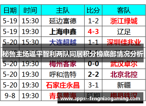 秘鲁主场逼平智利两队同居积分榜底部情况分析 秘鲁主场逼平智利两队同居积分榜底部情况分析
