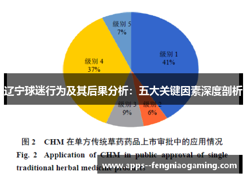 辽宁球迷行为及其后果分析：五大关键因素深度剖析