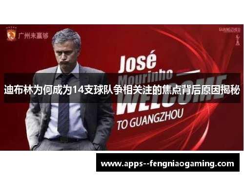 迪布林为何成为14支球队争相关注的焦点背后原因揭秘