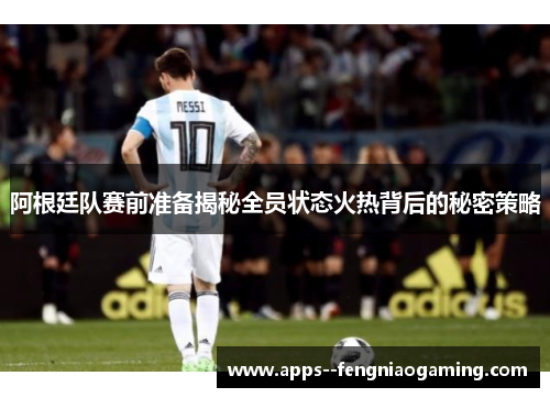 阿根廷队赛前准备揭秘全员状态火热背后的秘密策略